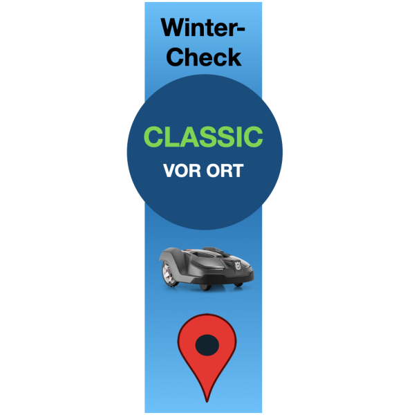 Winter-Check Classic (vor Ort / Abholung)
